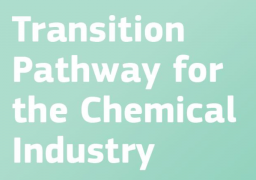  Νέος οδικός χάρτης για το μετασχηματισμό της Ευρωπαϊκής χημικής βιομηχανίας 